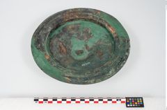 Foto von Bronzephalere (NHMW-PRAE-025544)